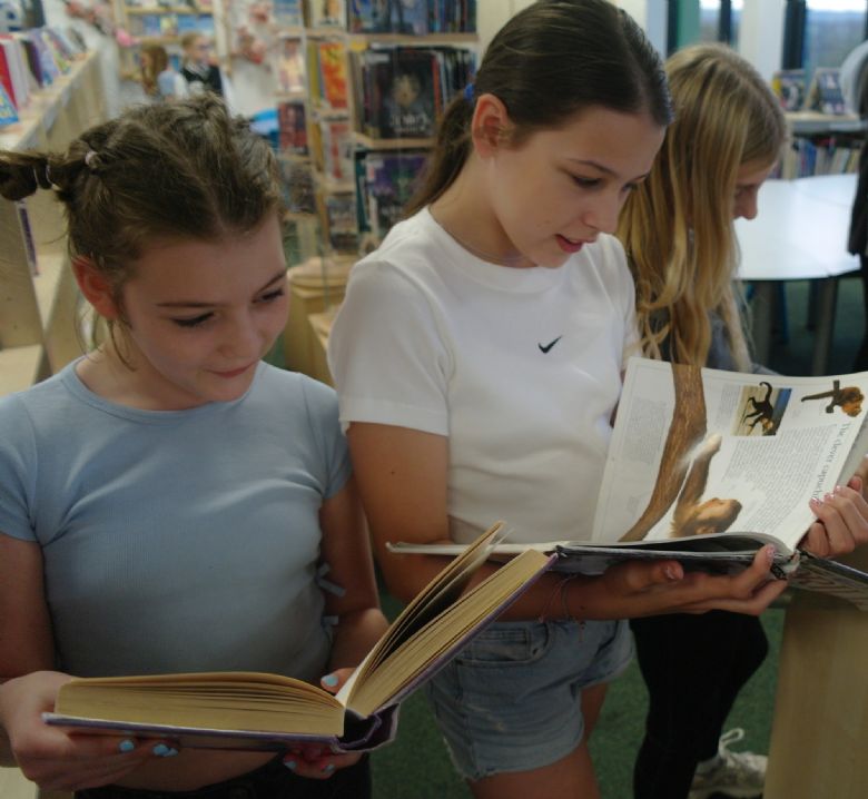 Primary school visitors reading some books in the school library.